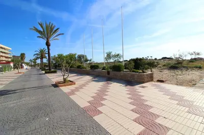 a sidewalk with a palm tree and a building at Global Vacacional, Apartamento con piscina y terraza en la playa de Canet in Canet de Berenguer