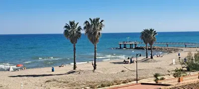 a beach with palm trees and a pier at Apartamento Chilches Vistas al mar in Chilches