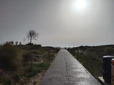 a wooden boardwalk leading down to the beach at Apartamento 2 habitaciones playa de Canet de Berenguer in Canet de Berenguer