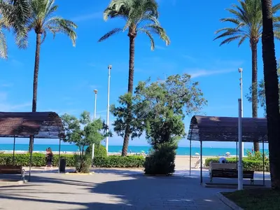 a park with palm trees and a beach at TIGA muy cerca de la plaza de San Antonio in Cullera