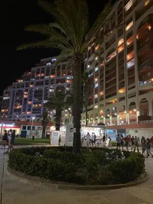a palm tree in front of a building at night at Cataleya Apartment in Cullera