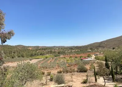 a view of a field with trees and bushes at Villa Torre, Valencia Spanje in Macastre