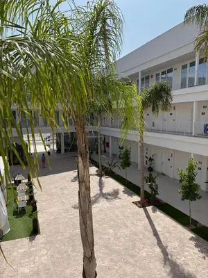 a palm tree in front of a building at SH Campus Lyceum in Moncada