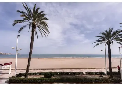 a beach with two palm trees and the ocean at El balcón del mar - 1ª línea y frontal al mar in Cullera