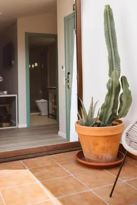 a cactus in a pot sitting on a floor at Lindala Natural in Valencia
