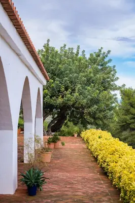 a walkway next to a white building with yellow flowers at House -Sleeps 8-Natural Pool-Pet Friendly in Artana