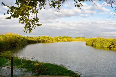 a view of a river with trees and bushes at Ca les Rinconetes in Riola