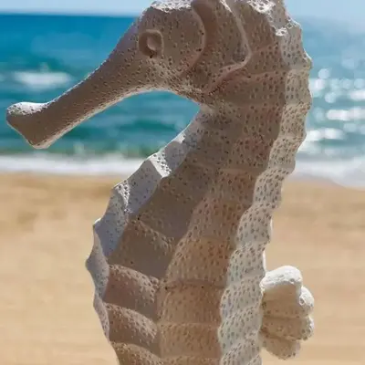 Caballito de Mar