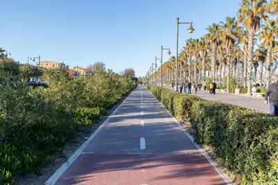 a walking path in a park with palm trees at ApartUP Ca La Leni Beach III in Valencia