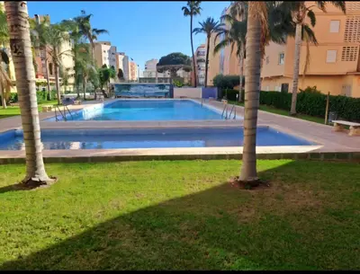 a swimming pool in a park with palm trees at Urban loft Valencia playa in Puebla de Farnals