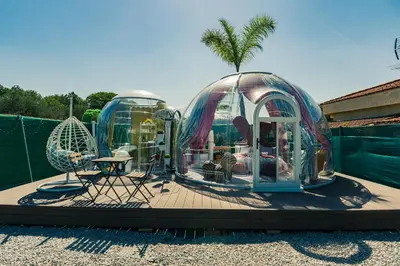 two domes on a patio with a palm tree at J&L Glamping in La Presa