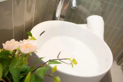 a white toilet with a faucet and pink flowers at SingularStays Casa del Grao in Valencia