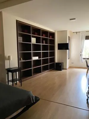 a living room with a large book shelf at Apartamento junto Mercado Central Valencia in Valencia