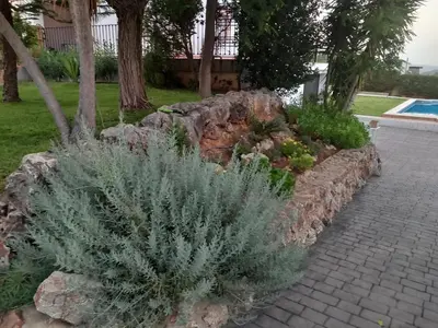 a stone retaining wall with plants in a garden at The Villarosa in Turís