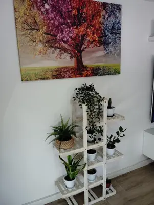 a painting hanging on a wall with potted plants on a shelf at Apartamento Plaza Palmeras2 in Burjasot