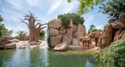 an elephant standing next to a pond in a zoo at Seaviews Los Olivos in Cullera