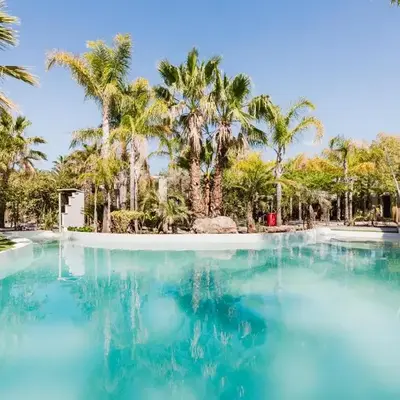 Palm Garden Valencia