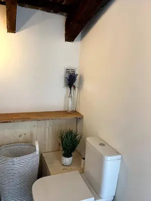a bathroom with a white toilet and a plant at Duplex Loft And Home Office 140m2 plus a 70m2 Terrace in Valencia