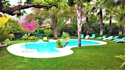 a pool in a yard with palm trees and chairs at All Nature Villa-25min from Valencia in Valencia