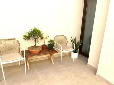 two chairs and a table with plants on a balcony at Ca Erika in Aldaia