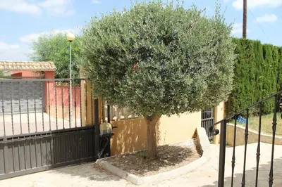 a tree sitting in front of a fence at La Casa del Olivo en Montserrat - Valencia in Valencia