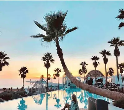 a woman sitting next to a swimming pool with a palm tree at ruzafa oceanograf science center in Valencia