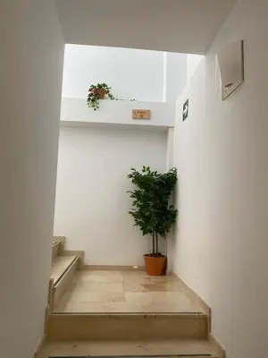 a staircase with a potted plant in a room at ALZIRA BONITA Apto con terraza y cama balinesa les barraques in Alzira