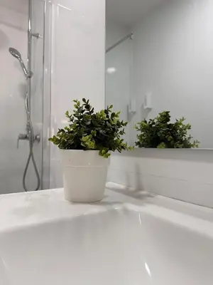 a potted plant sitting on a counter in a bathroom at Apartaestudio muy próximo Valencia in Burjasot