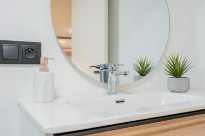 a bathroom sink with a mirror and two plants at Loft HomeValencia in Valencia
