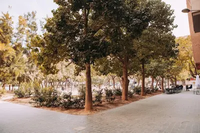a row of trees in a park with benches at Parc Central Mint Apartment in Valencia