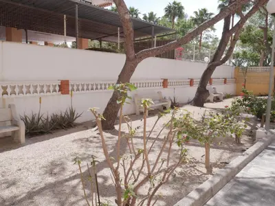 a courtyard with two trees and two benches at Malvarrosa, 8-54 in Cullera