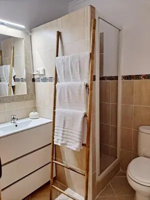 a bathroom with a shower and a sink and a toilet at Loft DobleAltura Escalante in Valencia