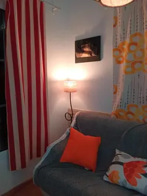 a living room with a couch and an american flag at Vacansis Chalet 3 Vedat in Torrent