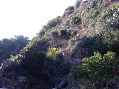 a staircase on a hill with trees and bushes at La Casa de la Cascada in Anna