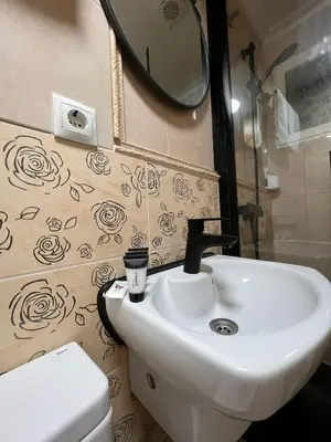 a bathroom with a sink and a mirror and a toilet at Apartamento Oceanografìc in Valencia