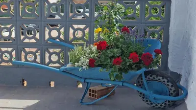 a blue wheelbarrow filled with flowers in front of a gate at La Replaceta in Segorbe
