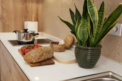 a kitchen counter with a vase with bread and vegetables at Loft 9B JAIME II in Valencia