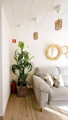a living room with a couch and a plant at Coqueto apartamento en la playa in Puebla de Farnals