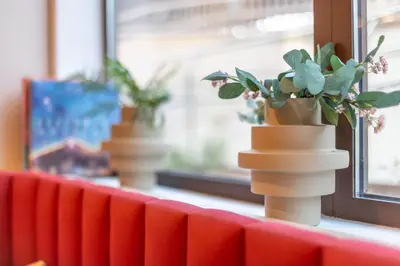 a row of potted plants sitting on a window sill at NIDO Malvarrosa Hotel - Apartamento in Valencia