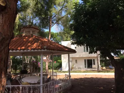 a gazebo with a table under a tree at Casa Kiosko 2 bedroom chalet with swimming pool in La Eliana