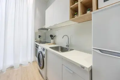 a kitchen with a sink and a washing machine at Apartamentos Grupo Torres de Quart in Valencia