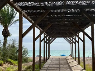 a wooden pavilion at the beach with a palm tree at Moncofa Sunset in Moncófar