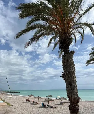 a palm tree on a beach with people and umbrellas at Moncofa Sunset in Moncófar
