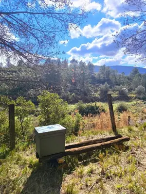 a box sitting on a bench in a field at Beautiful mountain chalet in Siete Aguas