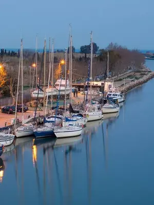 a bunch of boats are docked in a harbor at Medusa Felix in Cullera
