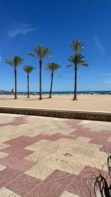 a group of palm trees on a sandy beach at Bahia Park Résidence in Cullera