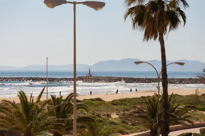 a beach with a palm tree and a light pole at Beachfront apartment Cullera Espacio in Cullera