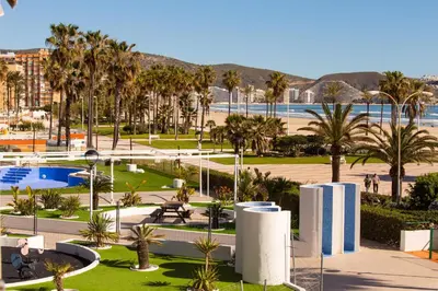 a view of a park with palm trees and a beach at Beachfront apartment Cullera Espacio in Cullera