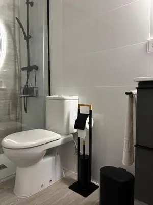a white bathroom with a toilet and a shower at Apartamento en Valencia Ruzafa in Valencia