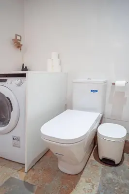 a bathroom with a toilet and a washing machine at El Pilar Luxury Suites By VALENCIAFLATS EU in Valencia
